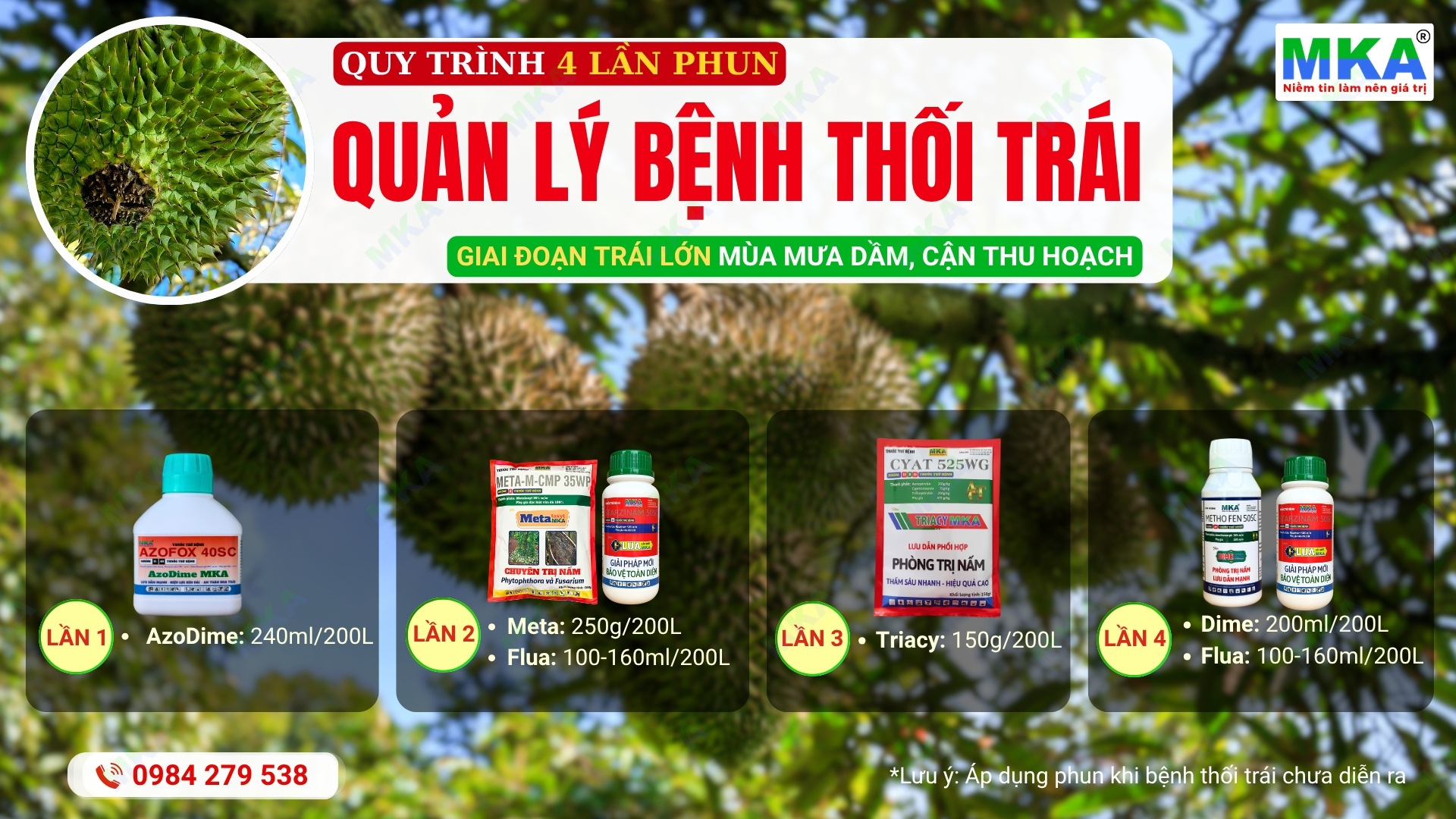 Quy trình MKA quản lý bệnh thối trái sầu riêng giai đoạn trái lớn